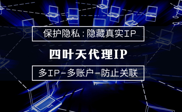 【新泰代理IP】服务器代理ip如何选择？如何挑选服务器代理商